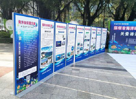  崇州KT板的种类和知识。